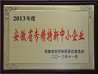 2013年安徽省专精特新中小企业